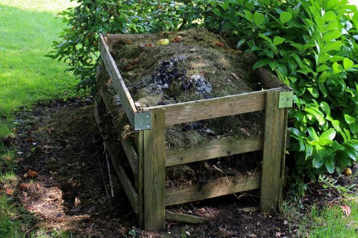 Ako vyrobiť dokonalý kompost, ktorý pomôže vašim rastlinám rozkvitať
