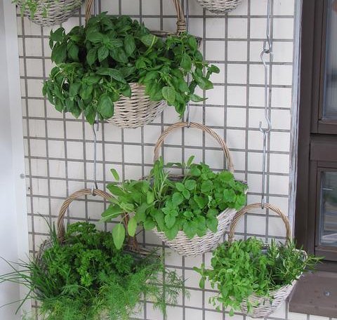 závesné kvetináče na blkón