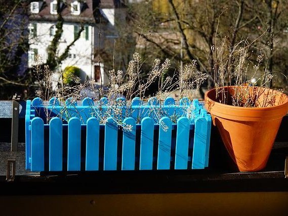 zazimovanie byliniek