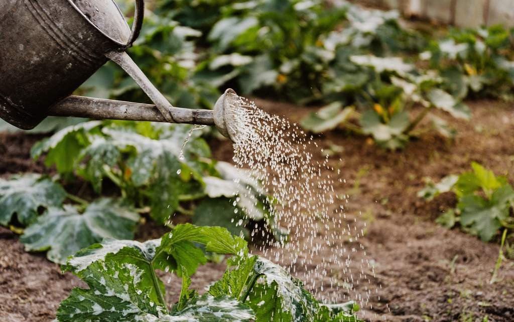 polievanie záhrady zo studne