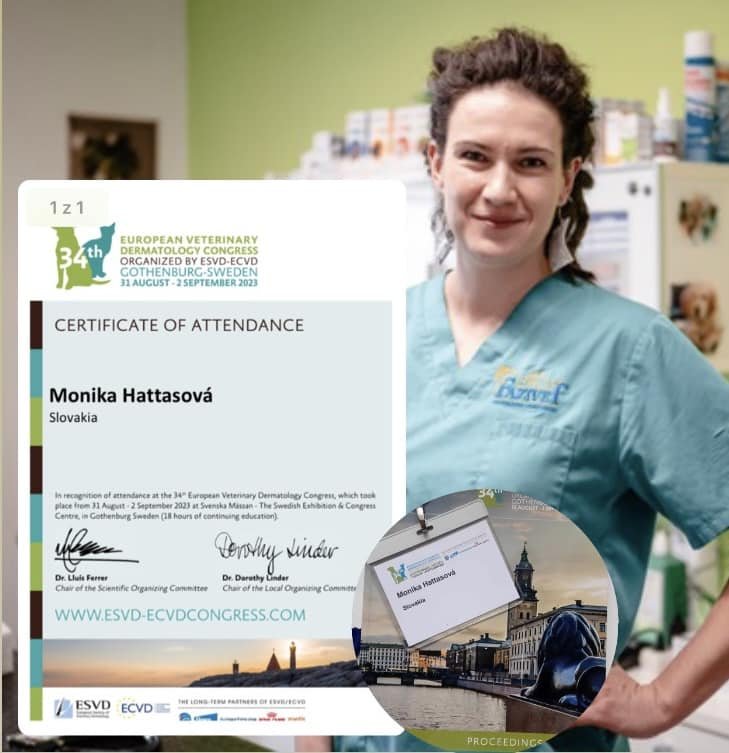 MVDr. Monika Hattasová - dermatológia zvierat