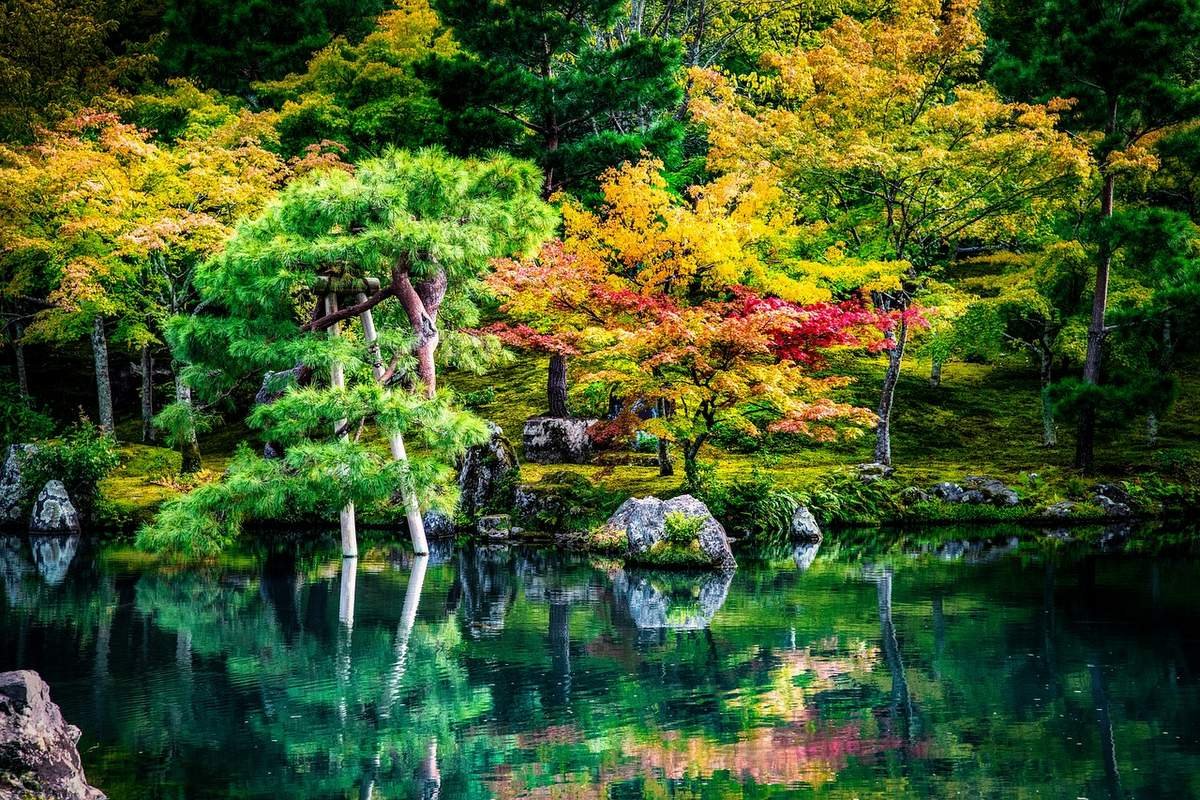 Japonský štýl záhrady