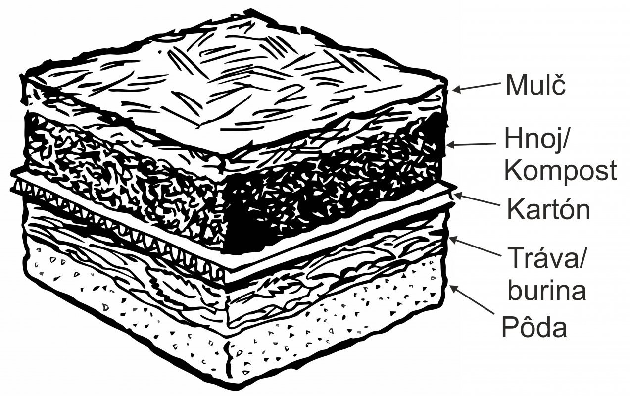 štruktúra mulču s kartónom
