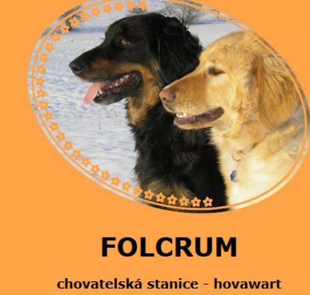 Folcrum - chovateľská stanica - hovawart