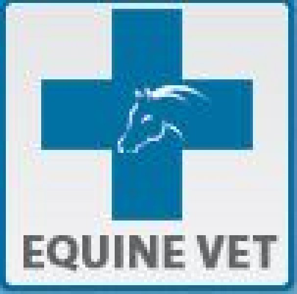 EQUINE VET - Veterinárna ambulancia