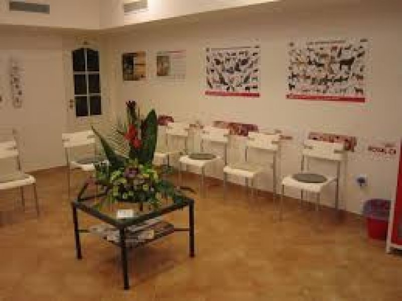 Veterinárna ambulancia VET-SVET