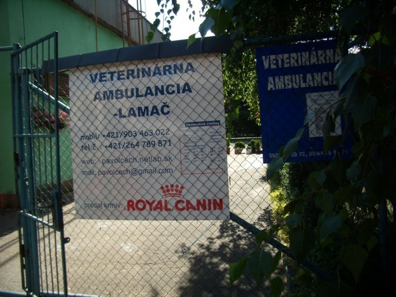 Veterinárna Homeopaticko Akupunkturistická ambulancia Bratislava - LAMAČ