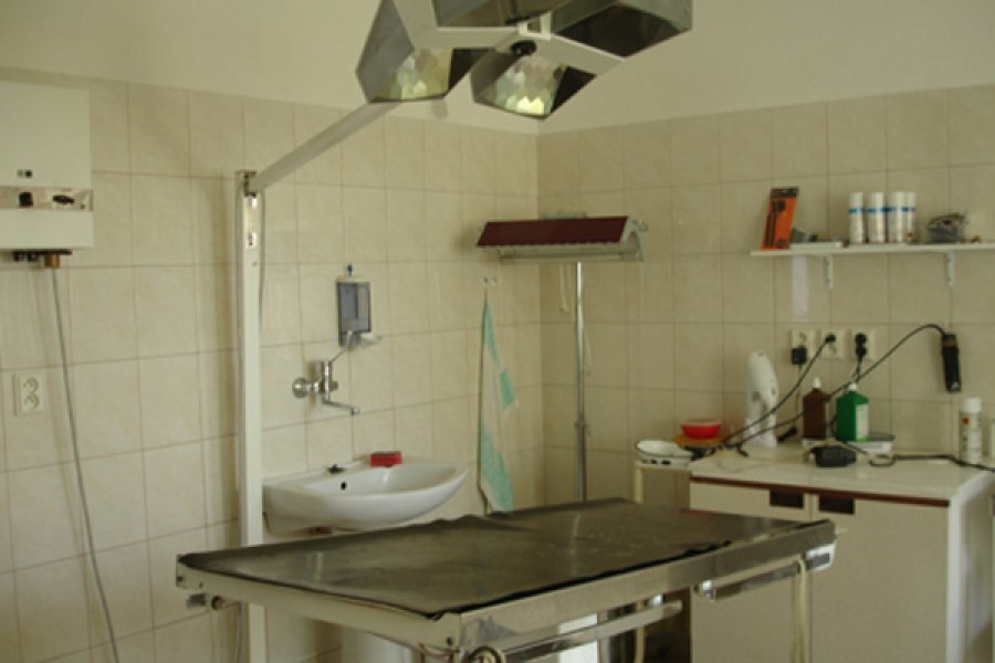 MVDr. Eva Zelenayová - veterinárna ambulancia