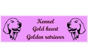Gold heart - Golden retriever kennel