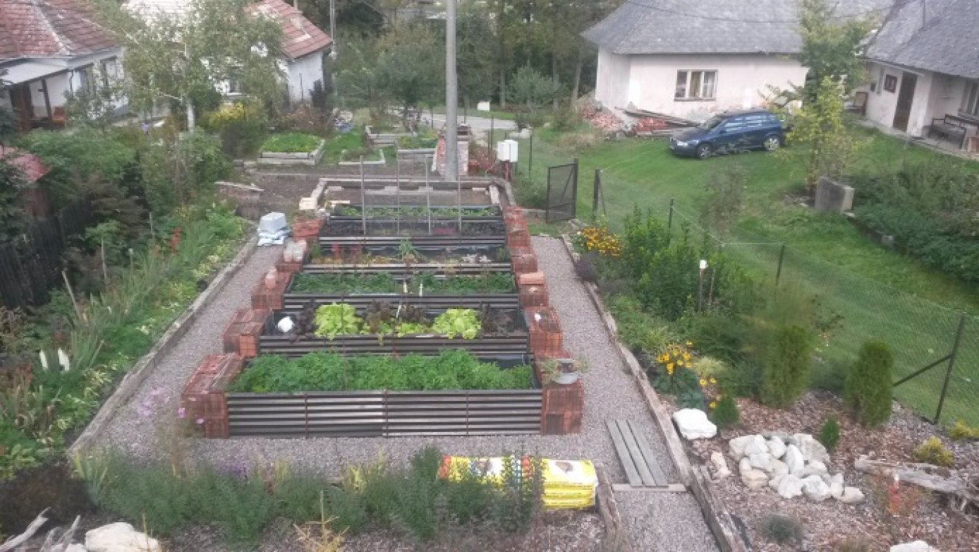 zeleninová záhrada vyvýšené záhony